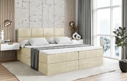 Boxbett ARDENI
