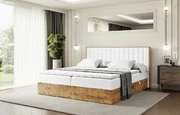 Boxbett LOLLI4