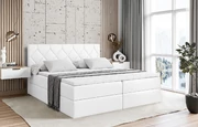 Boxbett CATOR - 1