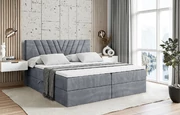 Boxbett ERNINA - 1
