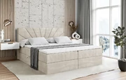 Boxbett MILTIO - 1