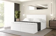 Boxbett VEXA