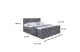 Boxbett CATOR-Z