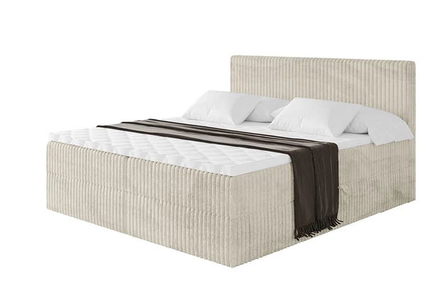 Boxbett TOLO - 2