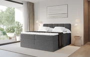 Boxbett FAMA KING - 1