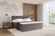 Boxbett FAMA - 6