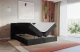 Boxbett EVON